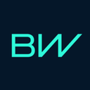 BorgWarner Noblesville LLC logo