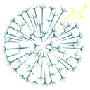 Dandelion Health Inc logo
