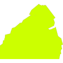 Kong logo